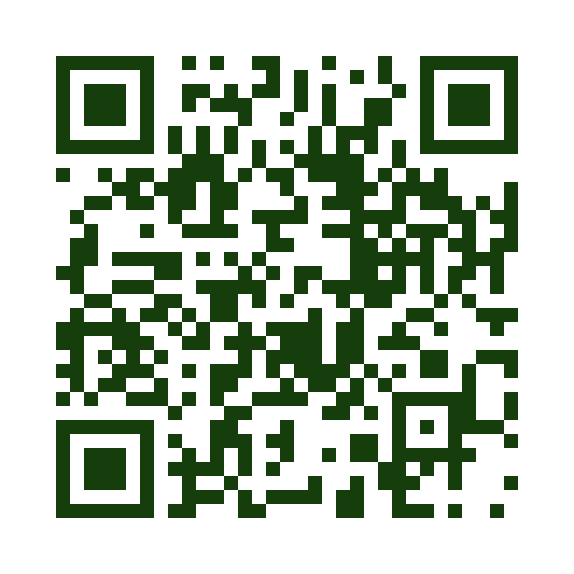 Демонстрационный QR-код будущей карточки Весометра в RuStore